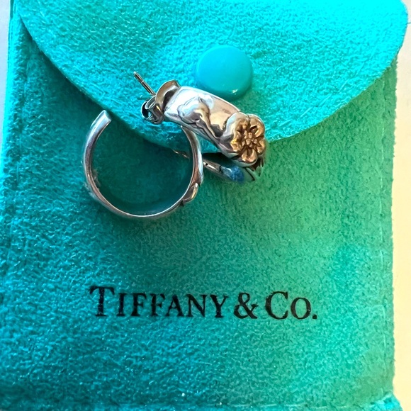 Tiffany & Co. Jewelry Tiffany Earrings Poshmark